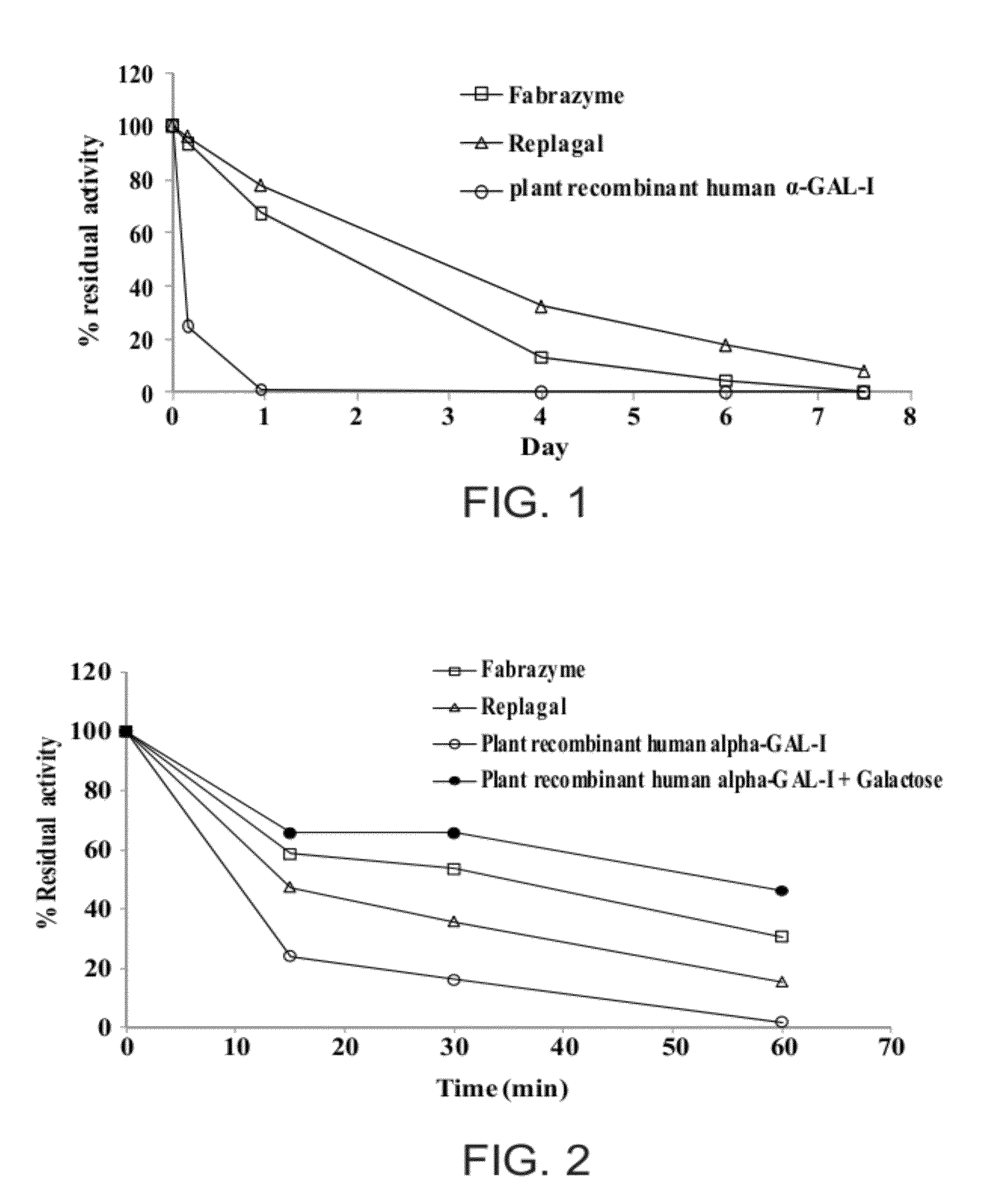 Stabilized alpha-galactosidase and uses thereof