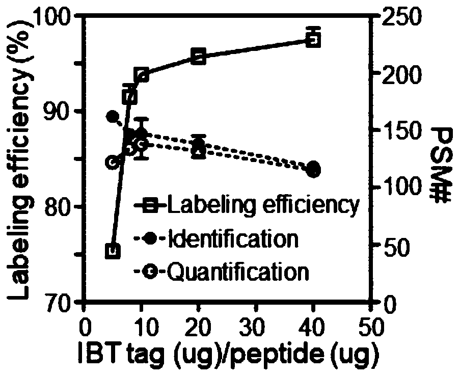 Stable isotope-based high-throughput proteomic quantitative reagent