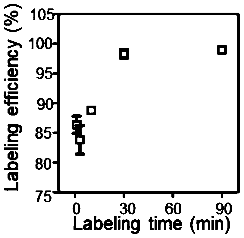 Stable isotope-based high-throughput proteomic quantitative reagent