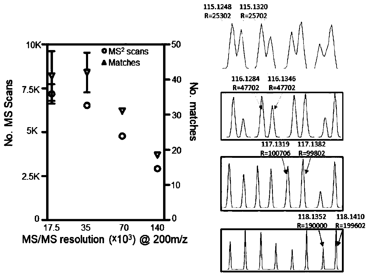 Stable isotope-based high-throughput proteomic quantitative reagent