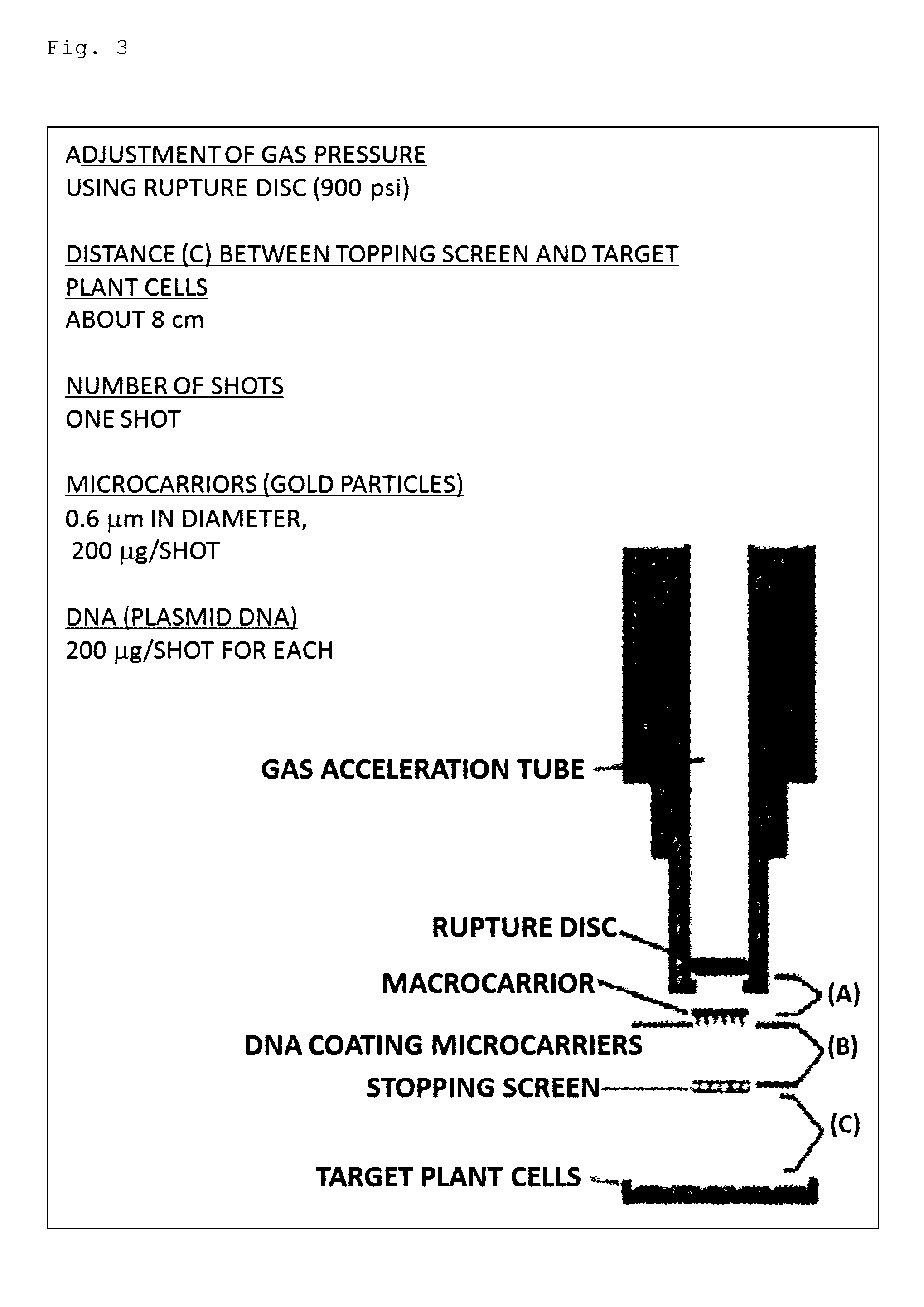 Wheat with increased number of grains and method for producing the same, and agent for increasing the number of wheat grains