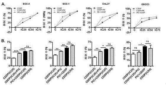 Application of composition in preparing drugs for treating tumors and using method of composition