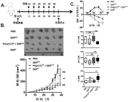 Application of composition in preparing drugs for treating tumors and using method of composition