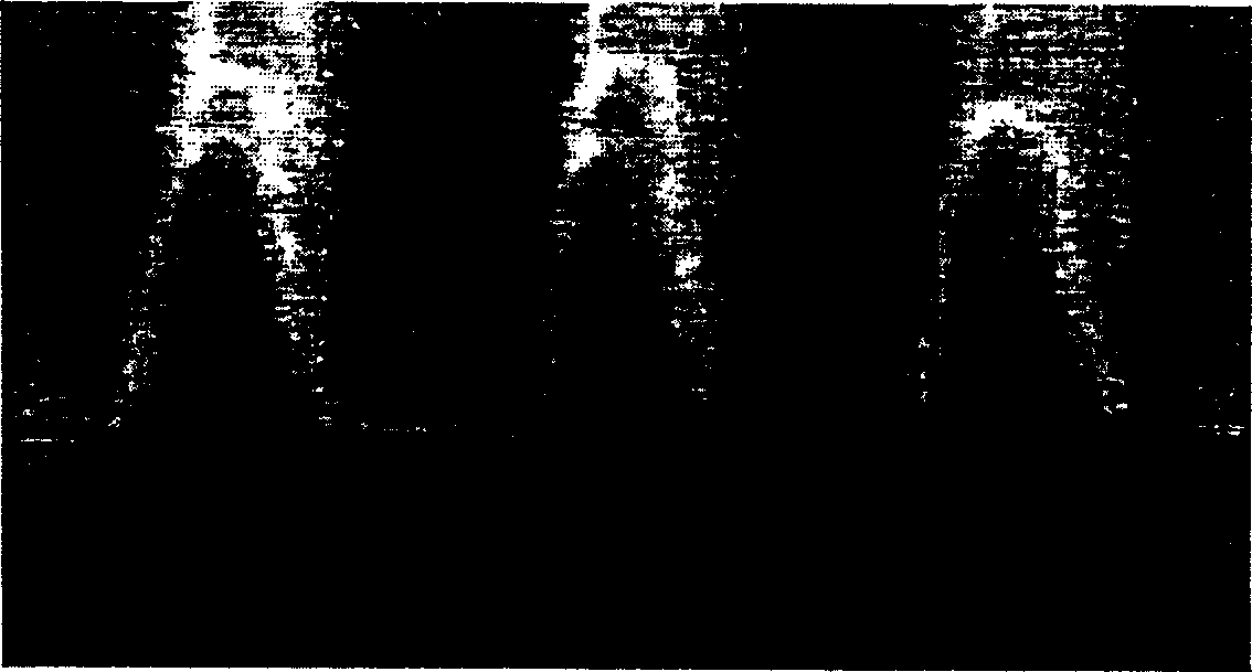 Photoresist composition with optical acid-generating agent containing optical free radical generating agent