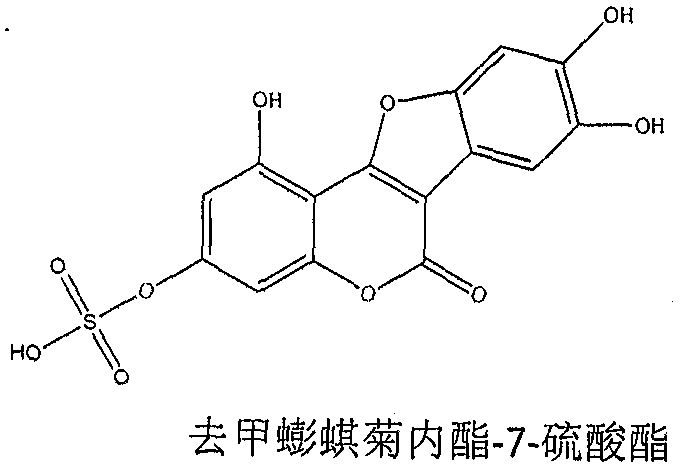 Application of norwerethrin-7-sulfate in the preparation of anti-pulmonary fibrosis drugs