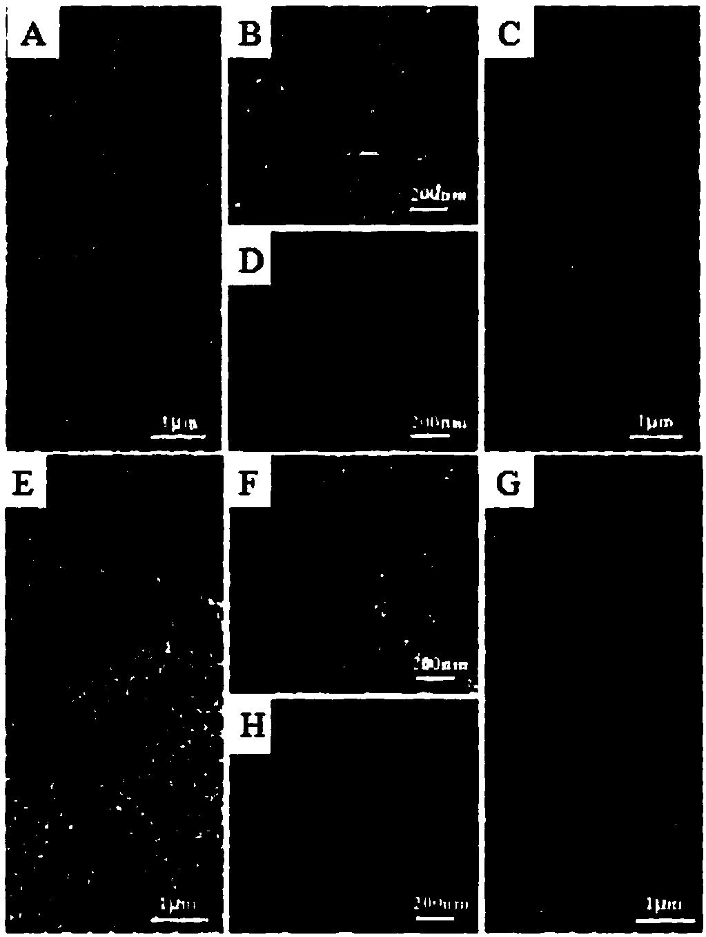 Preparation of silver phosphate two-dimensional ordered nanonet film and method thereof by gas-liquid interface method