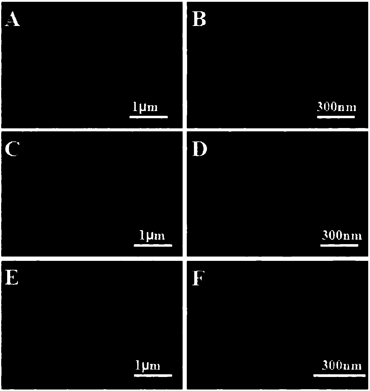 Preparation of silver phosphate two-dimensional ordered nanonet film and method thereof by gas-liquid interface method