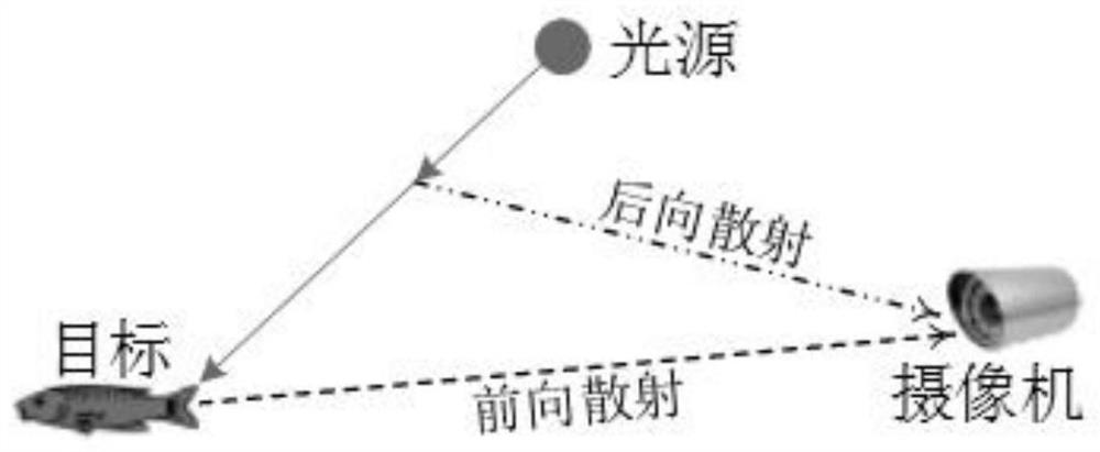 A three-primary color combined pre-equalization and deblurring underwater image enhancement method