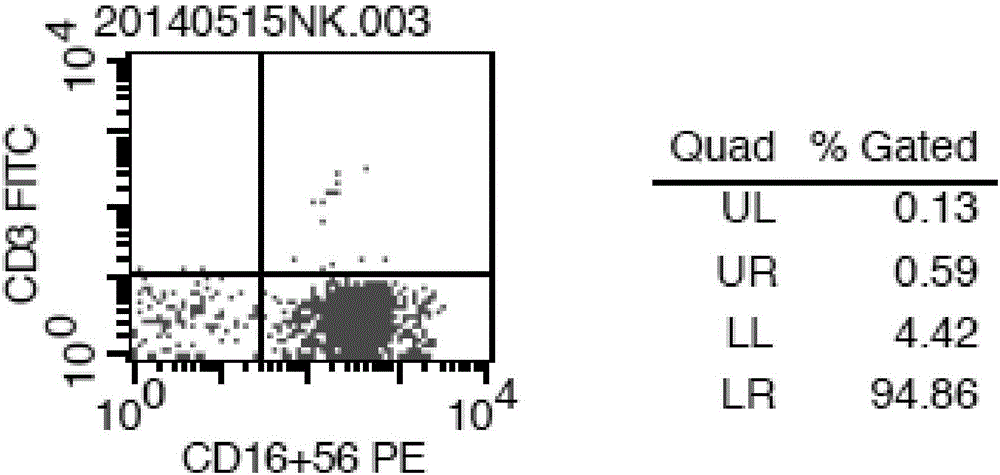 In-vitro large-scale amplification method of natural killer cells