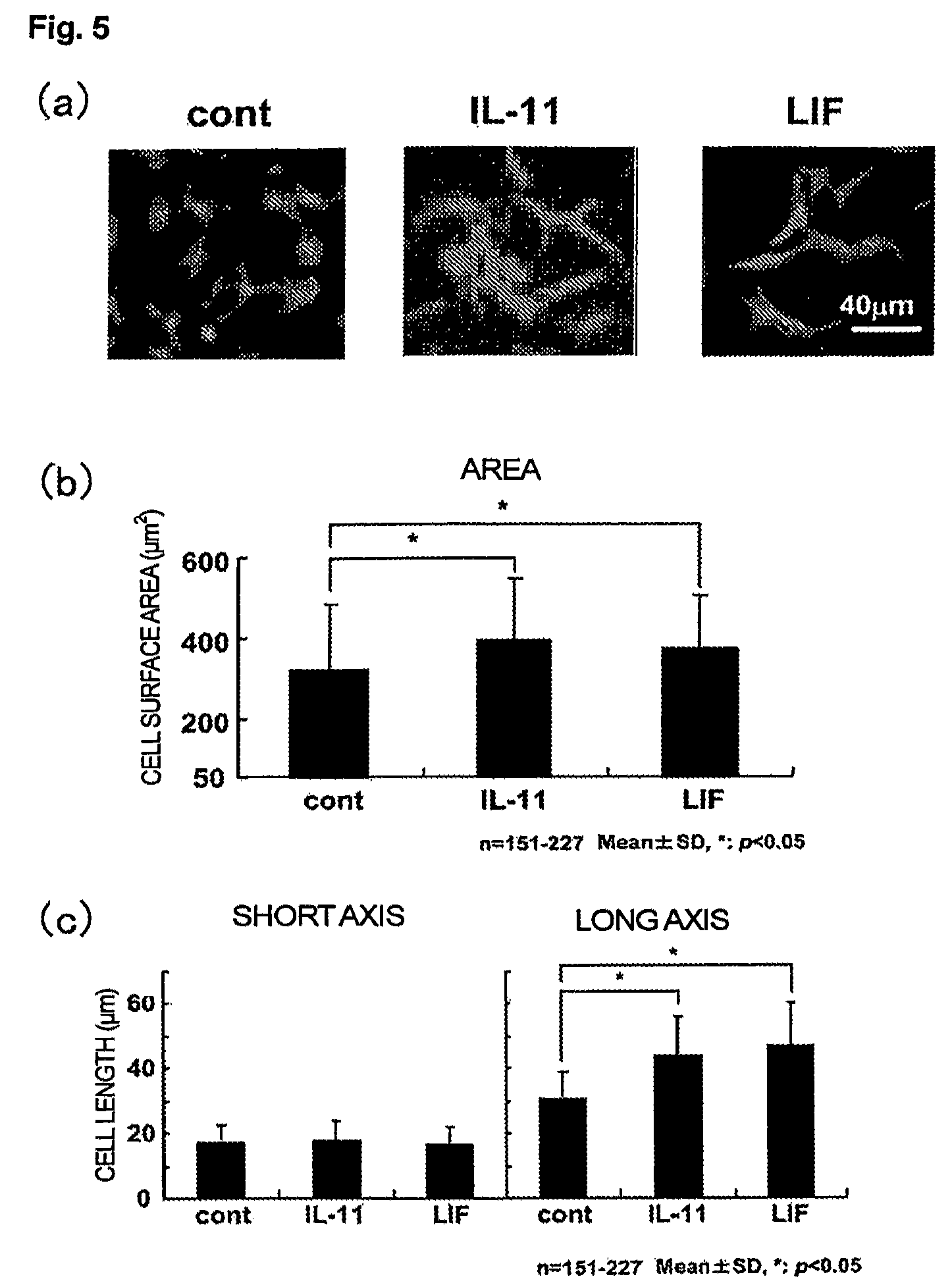 Use of interleukin-11 as therapeutic agent for heart disease