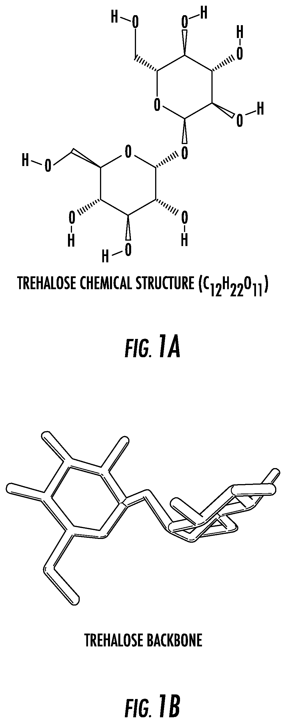 Compositions and methods to prevent and treat biofilms