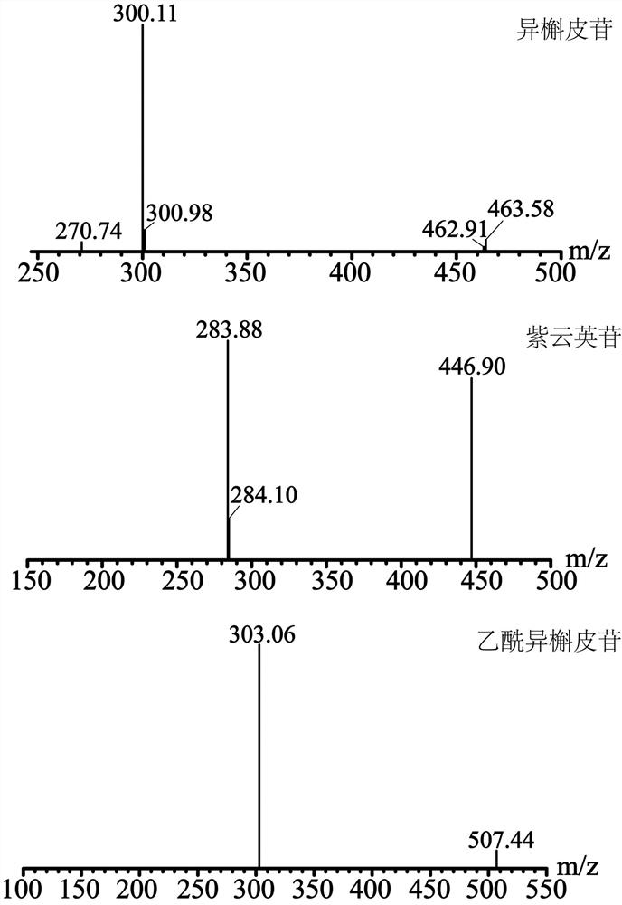 Method for determining contents of three flavonoid chemical components in folium apocyni veneti