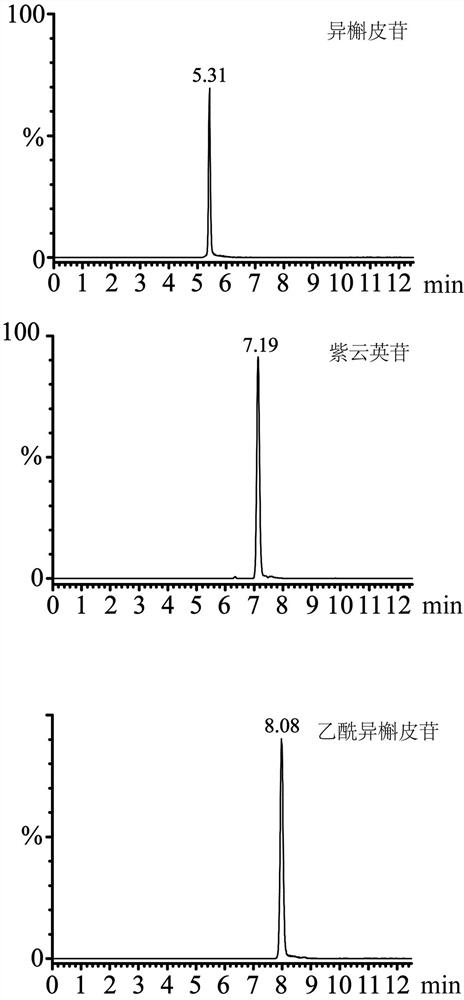 Method for determining contents of three flavonoid chemical components in folium apocyni veneti