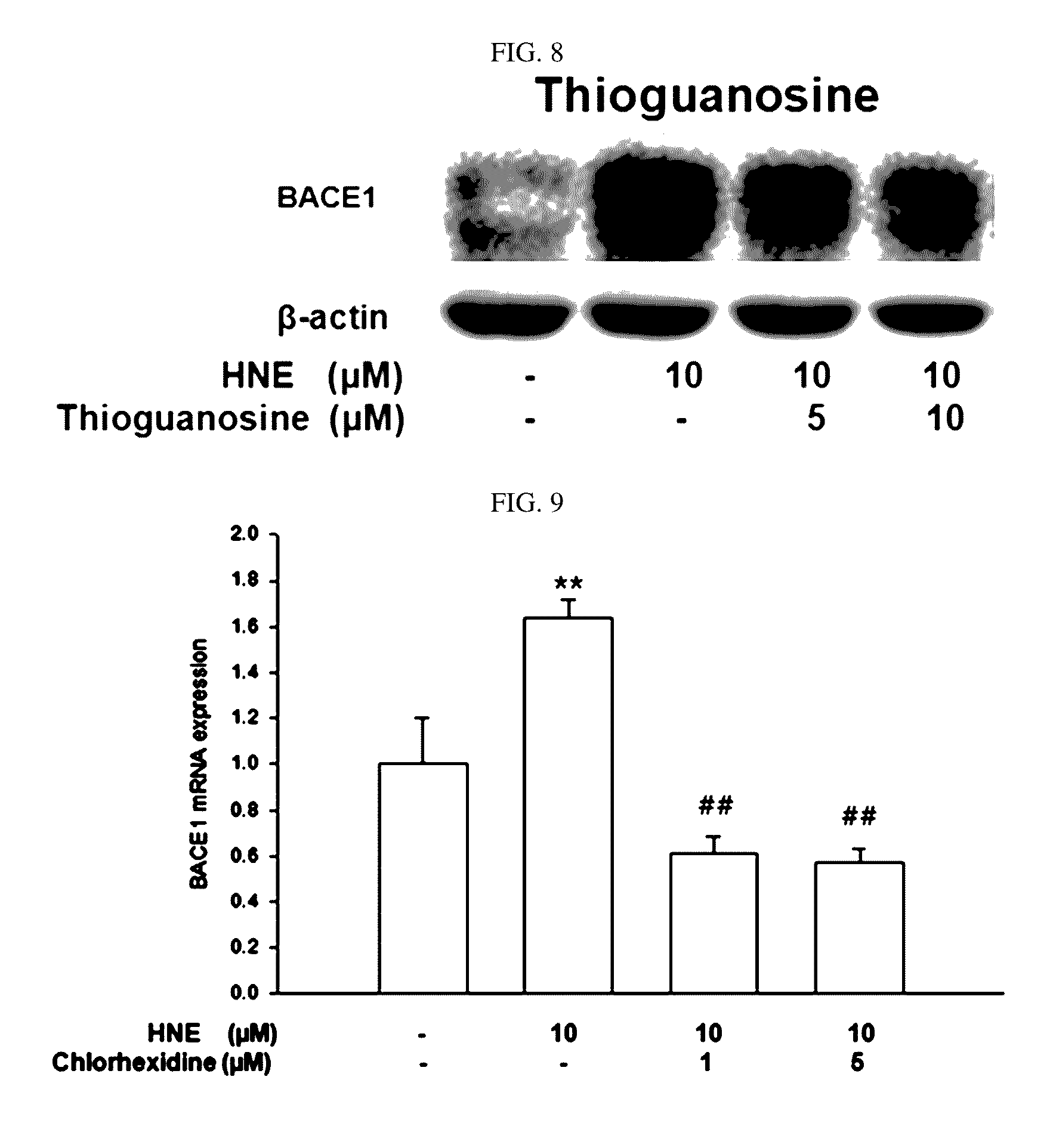 Composition for preventing or treating degenerative brain diseases including compound downregulating expression of BACE1 proteins