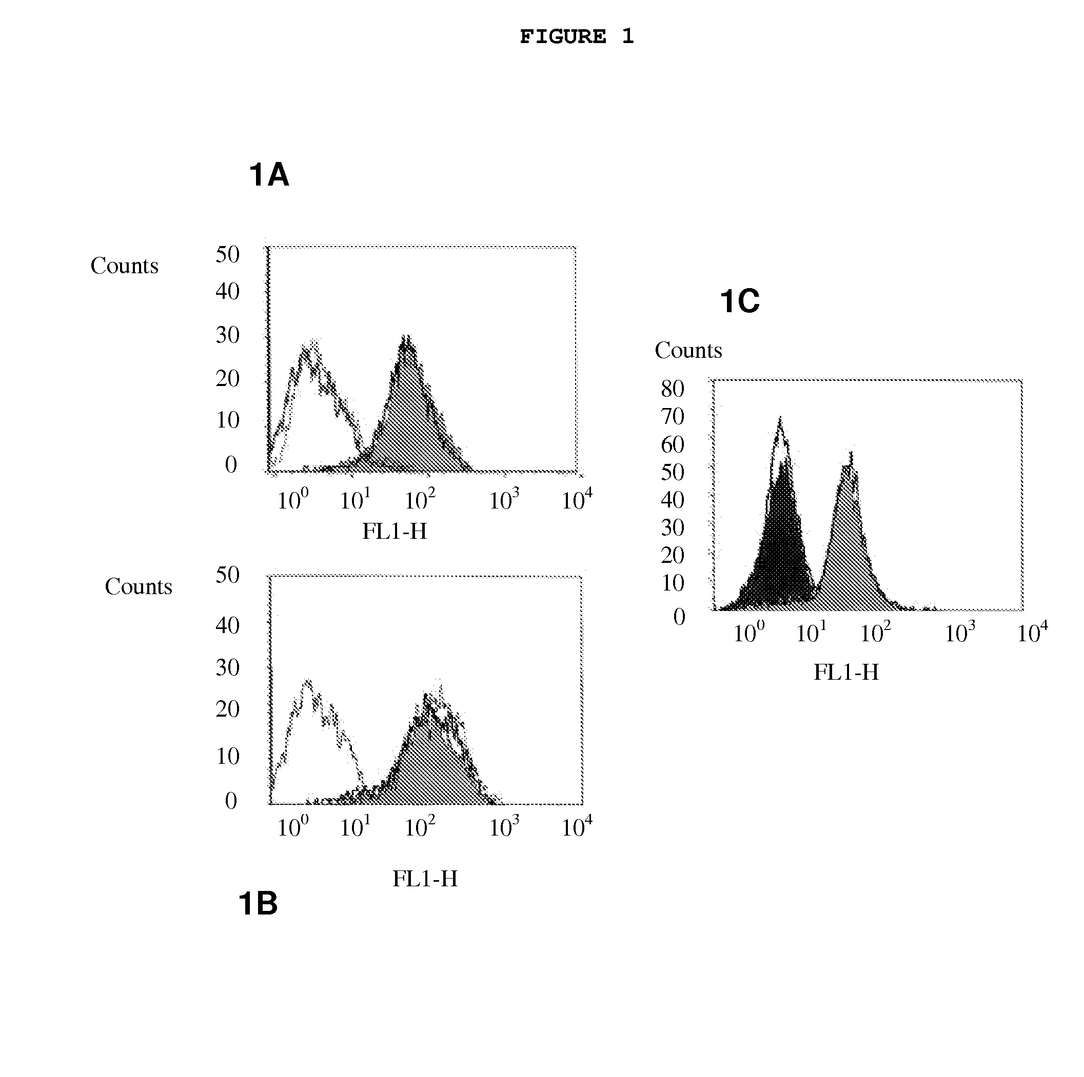 Method for preparation of single chain antibodies