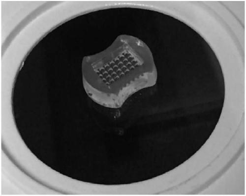 Simple, highly-efficient and mechanized inducing method for differentiation of human pluripotent stem cells into retinal tissues