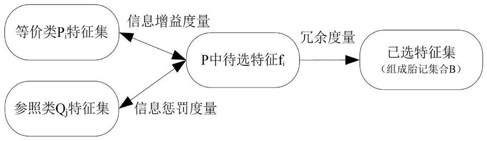 Constraint-restricted clustering and information metric software birthmark feature selection method, computer