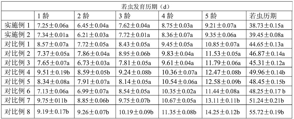 A method and application of large-scale rearing of red-colored stinkbug by using Chicory supercystis