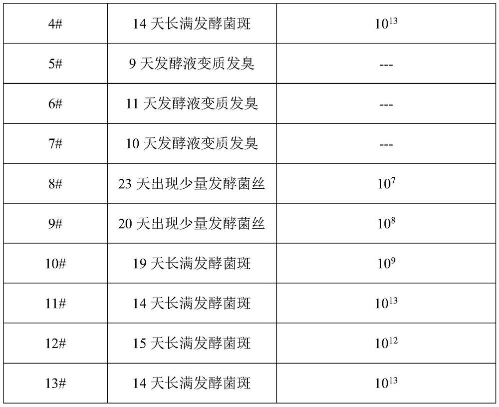 High-yield culture method for intercropping spotted silver carp, crucian carp, dace and black carp