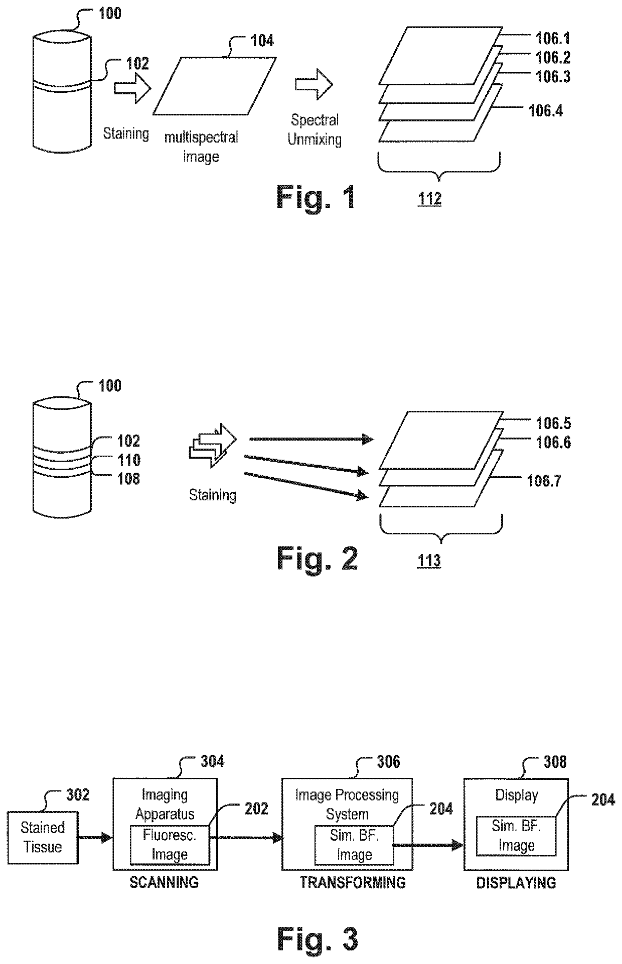 System for bright field image simulation