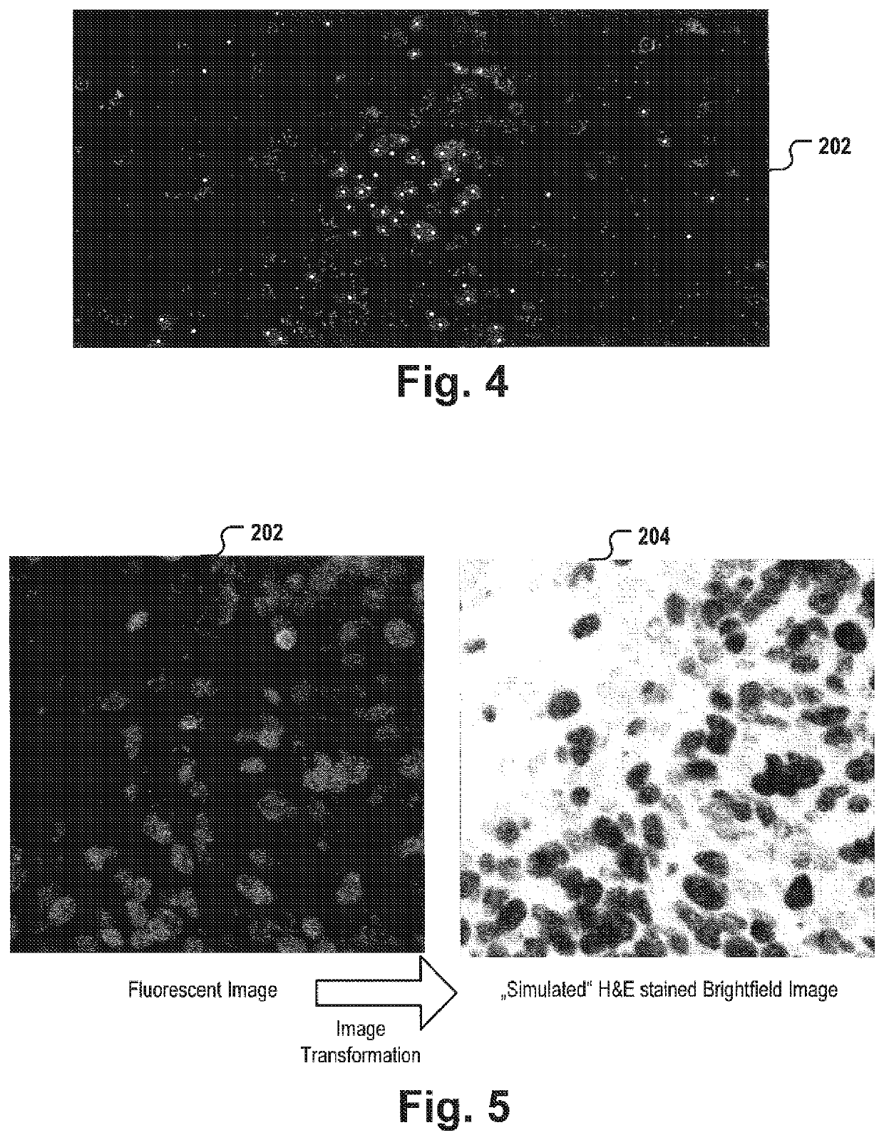 System for bright field image simulation