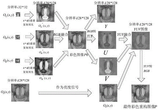 Compressed sensing based color imaging device and compressed sensing based color imaging method