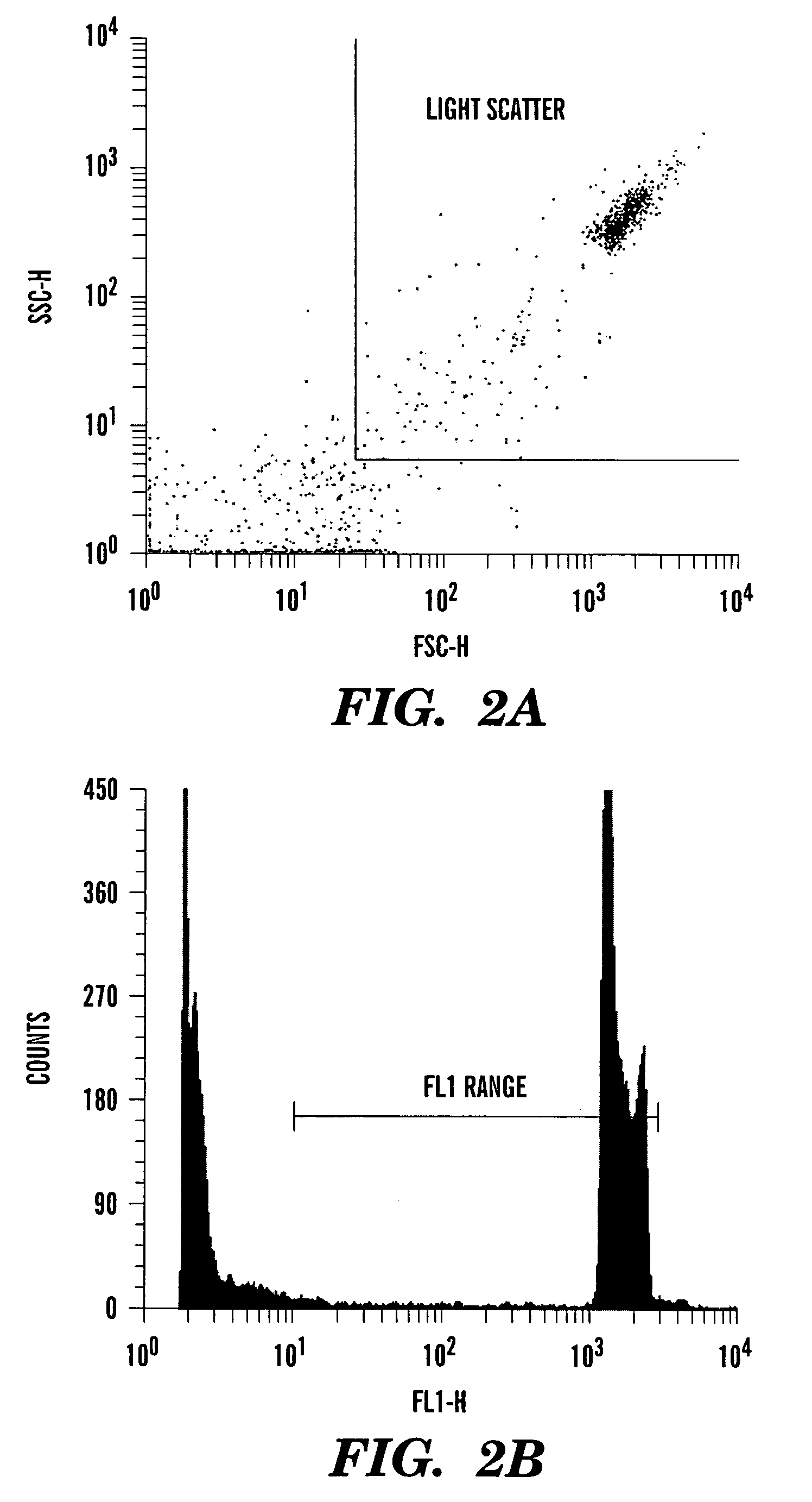 Method for enumerating mammalian cell micronuclei with an emphasis on differentially staining micronuclei and the chromatin of dead and dying cells