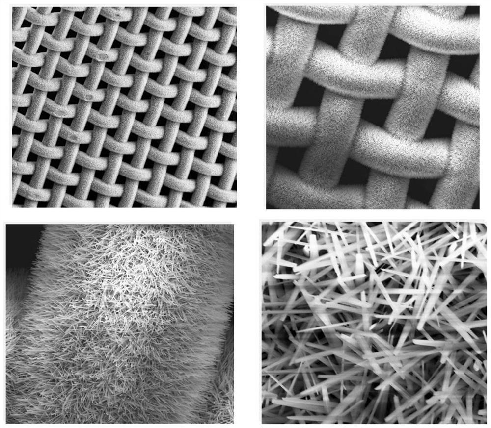 Array type metal sulfide composite electrode material and preparation method thereof