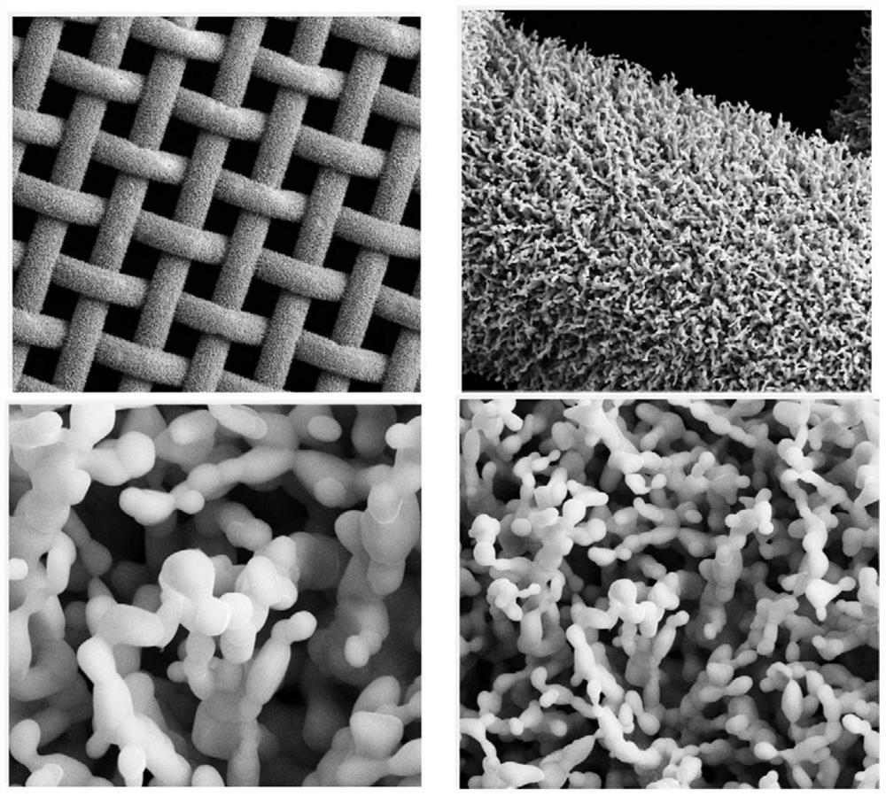 Array type metal sulfide composite electrode material and preparation method thereof