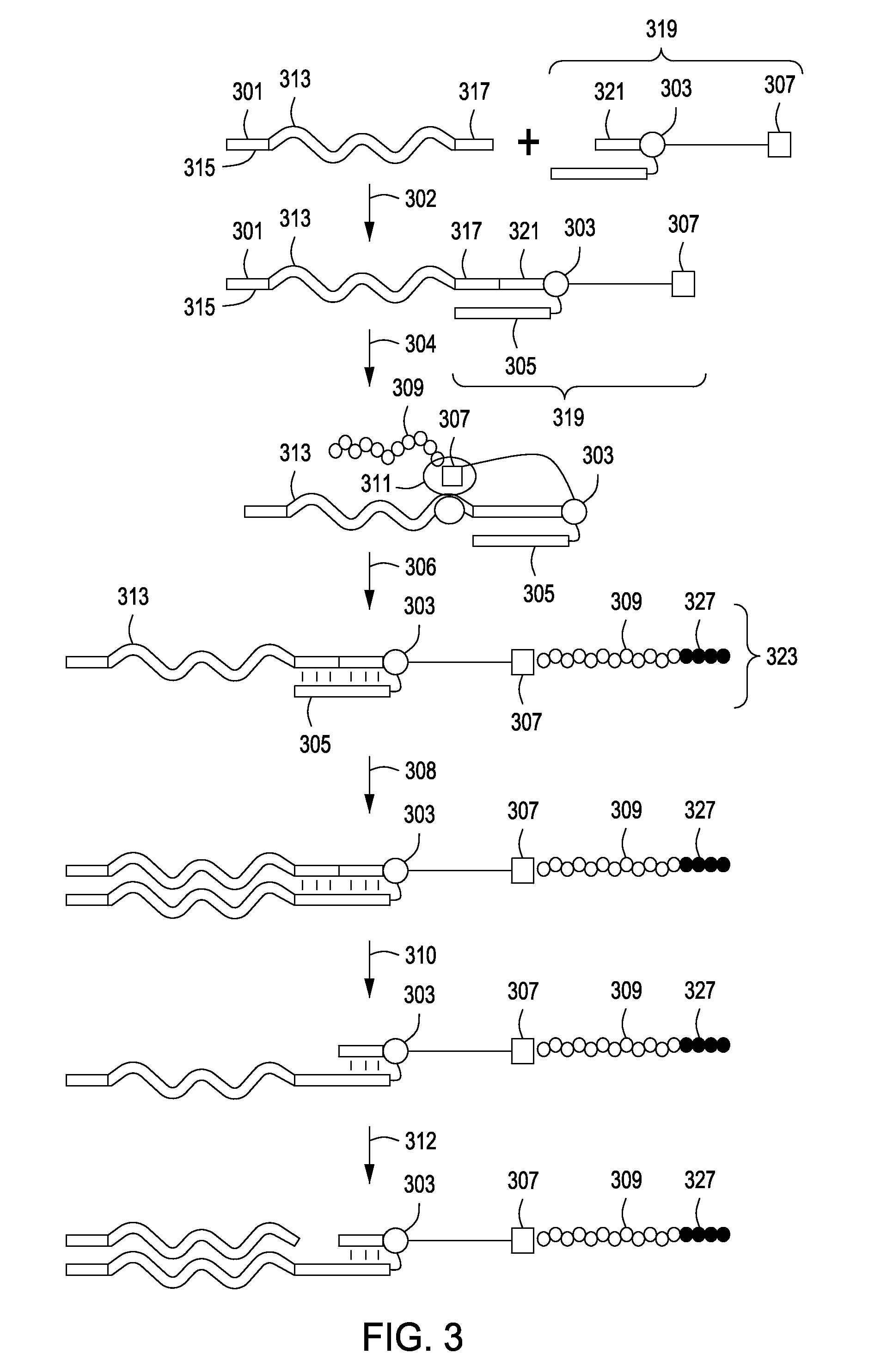 Peptide constructs and assay systems