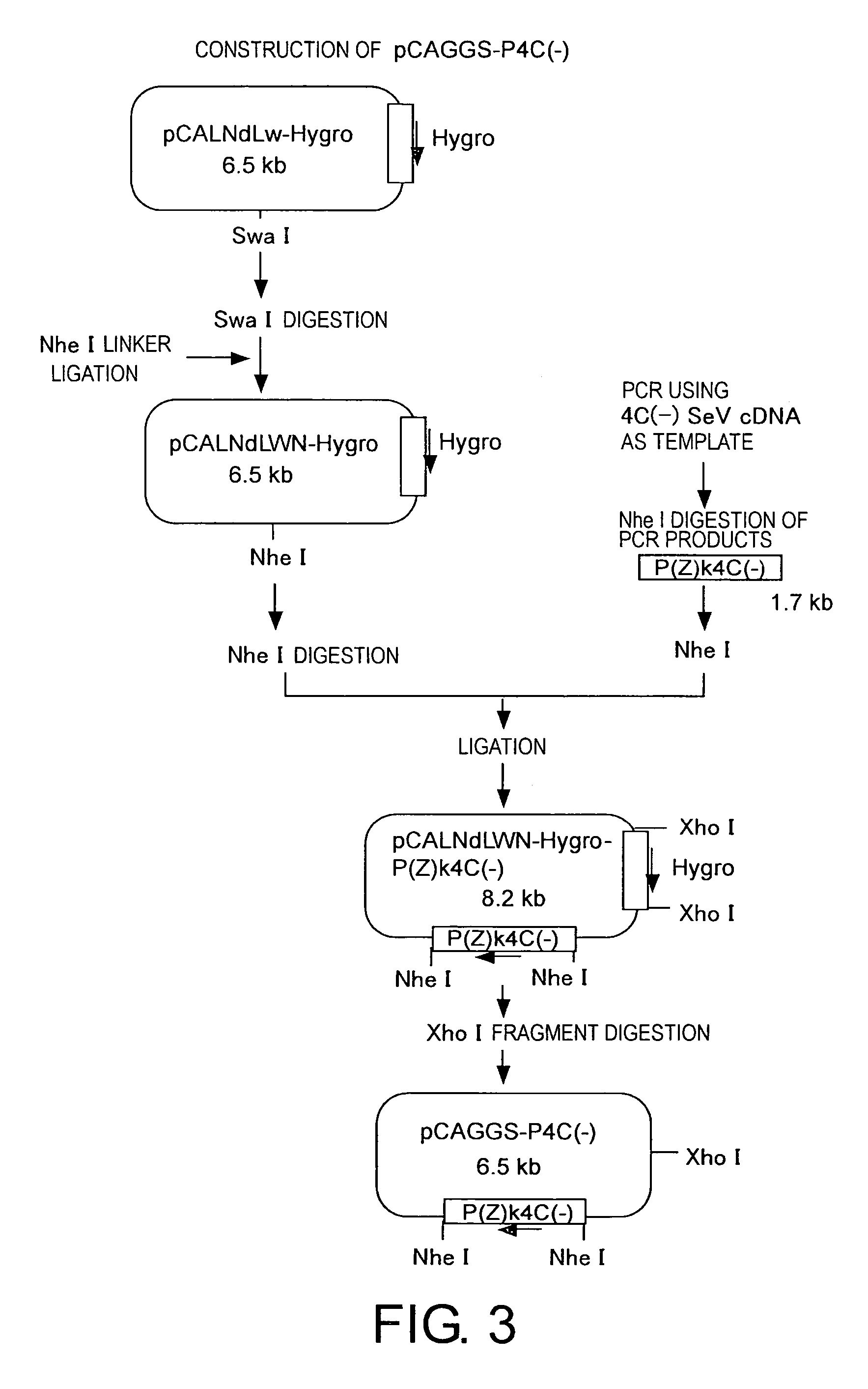 Methods for producing minus-strand RNA viral vectors using hybrid promoter comprising cytomegalovirus enhancer and chicken β-actin promoter