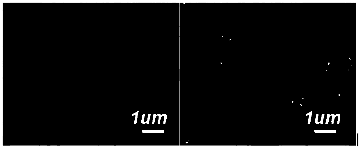 Rb-doped concentration gradient ternary cathode material and preparation method thereof