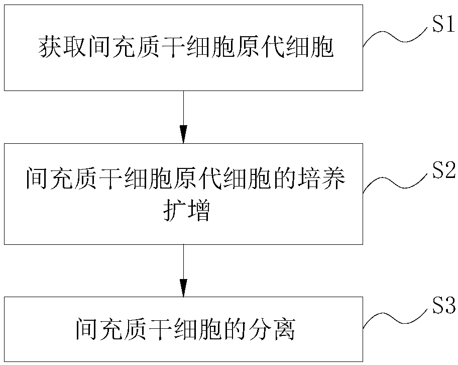 Isolated culture method as well as freeze storage and recovery method of mesenchymal stem cell