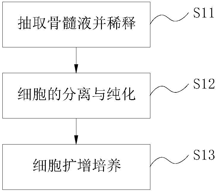 Isolated culture method as well as freeze storage and recovery method of mesenchymal stem cell