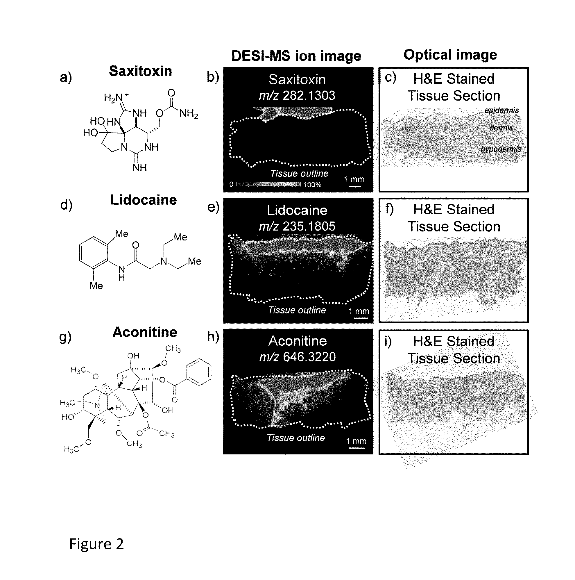 Batrachotoxin Analogues, Compositions, Uses, and Preparation Thereof