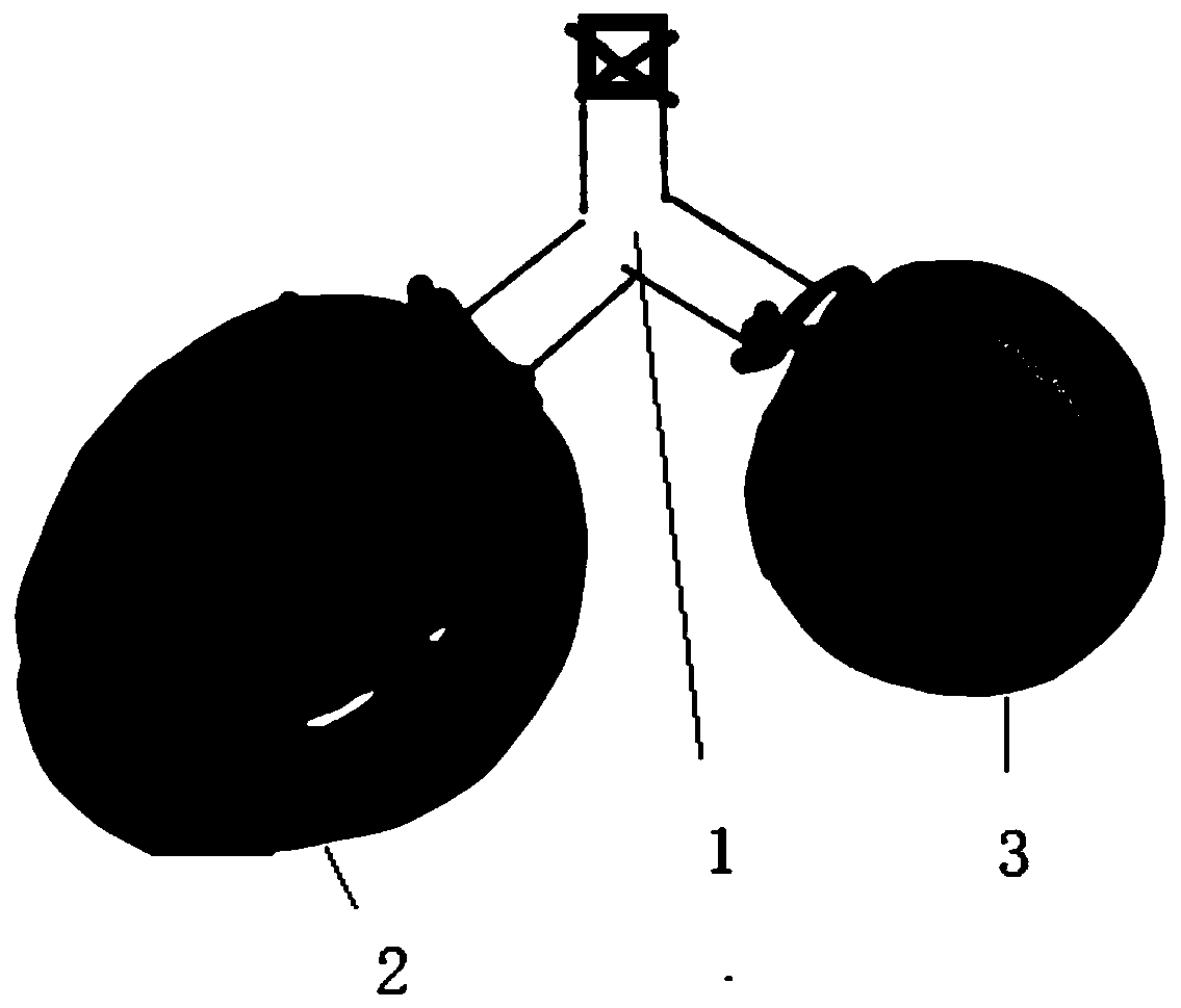 Pulmonary alveoli surfactant function experiment device and method