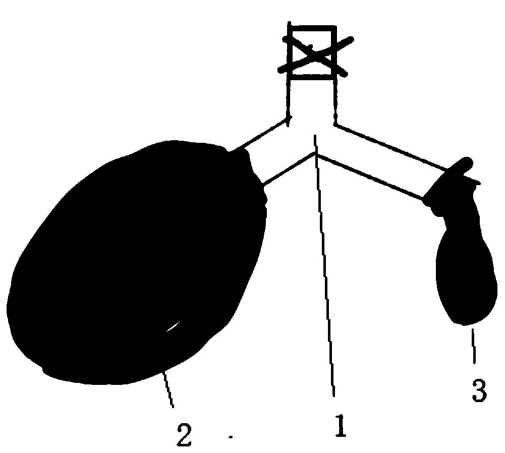 Pulmonary alveoli surfactant function experiment device and method