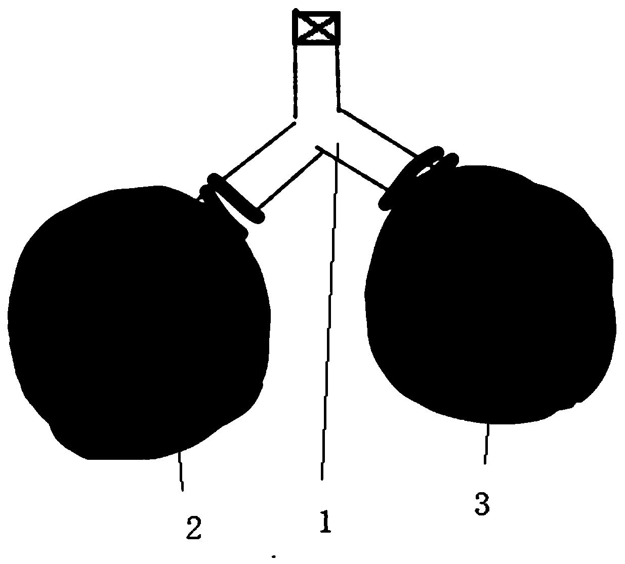 Pulmonary alveoli surfactant function experiment device and method