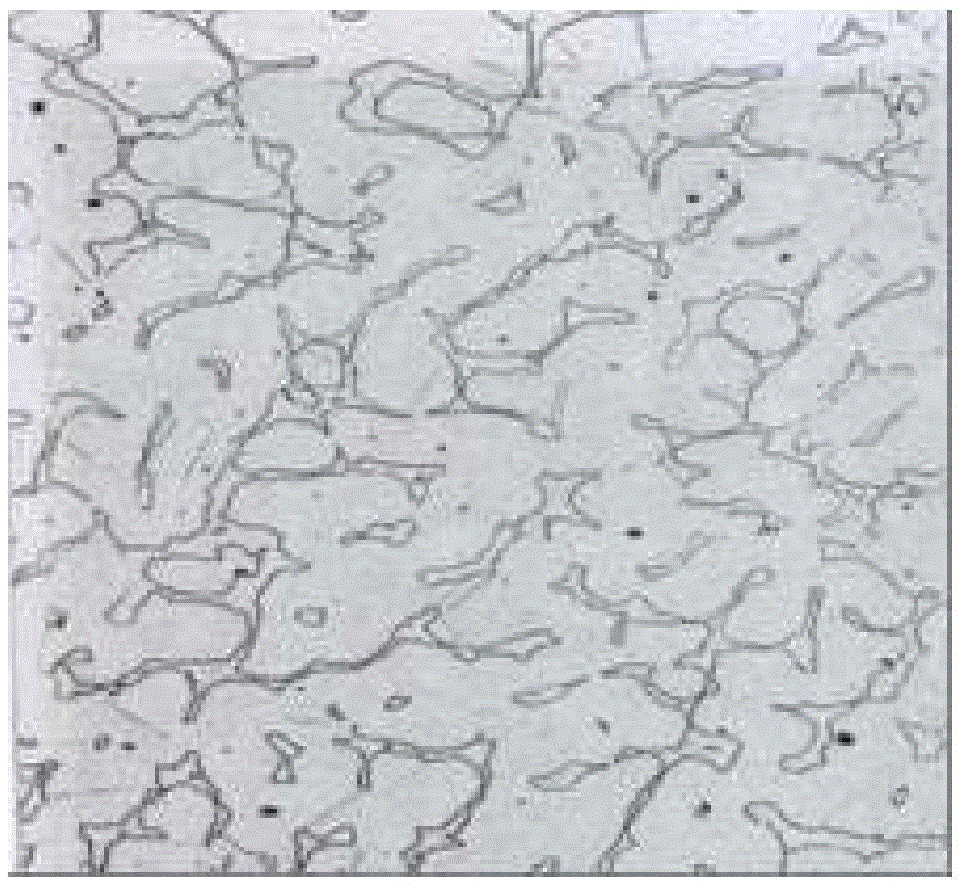 A low-nickel austenitic stainless steel