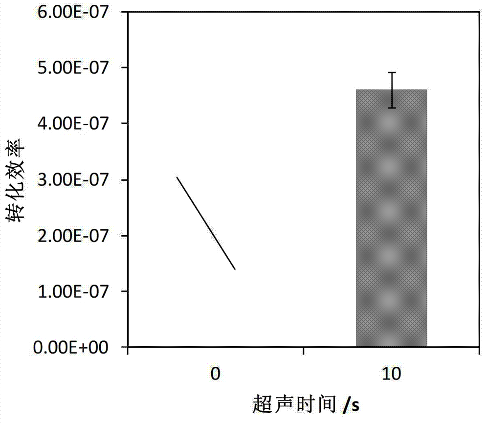 Functional microbial transformation method with combination of permeabilization and ultrasound