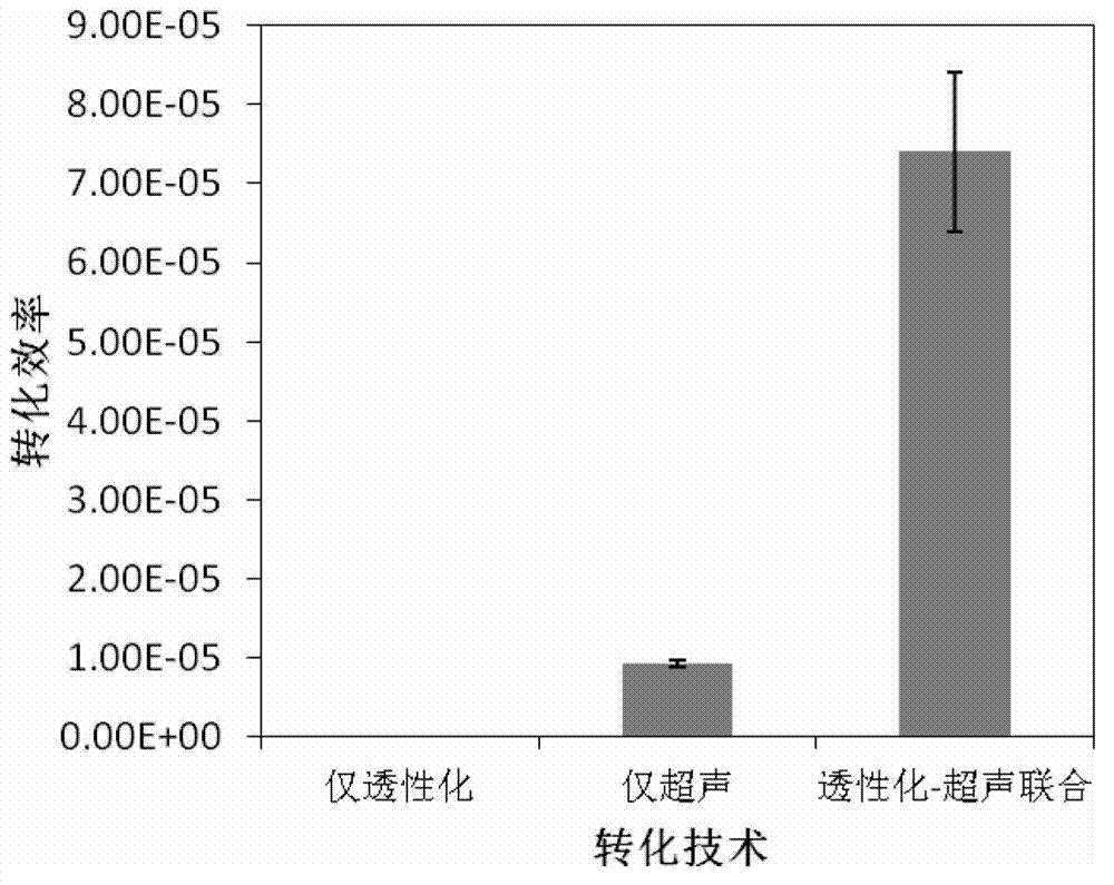 Functional microbial transformation method with combination of permeabilization and ultrasound