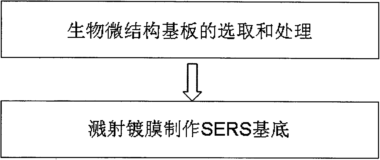 Method for manufacturing surface enhancement Raman scatting substrate