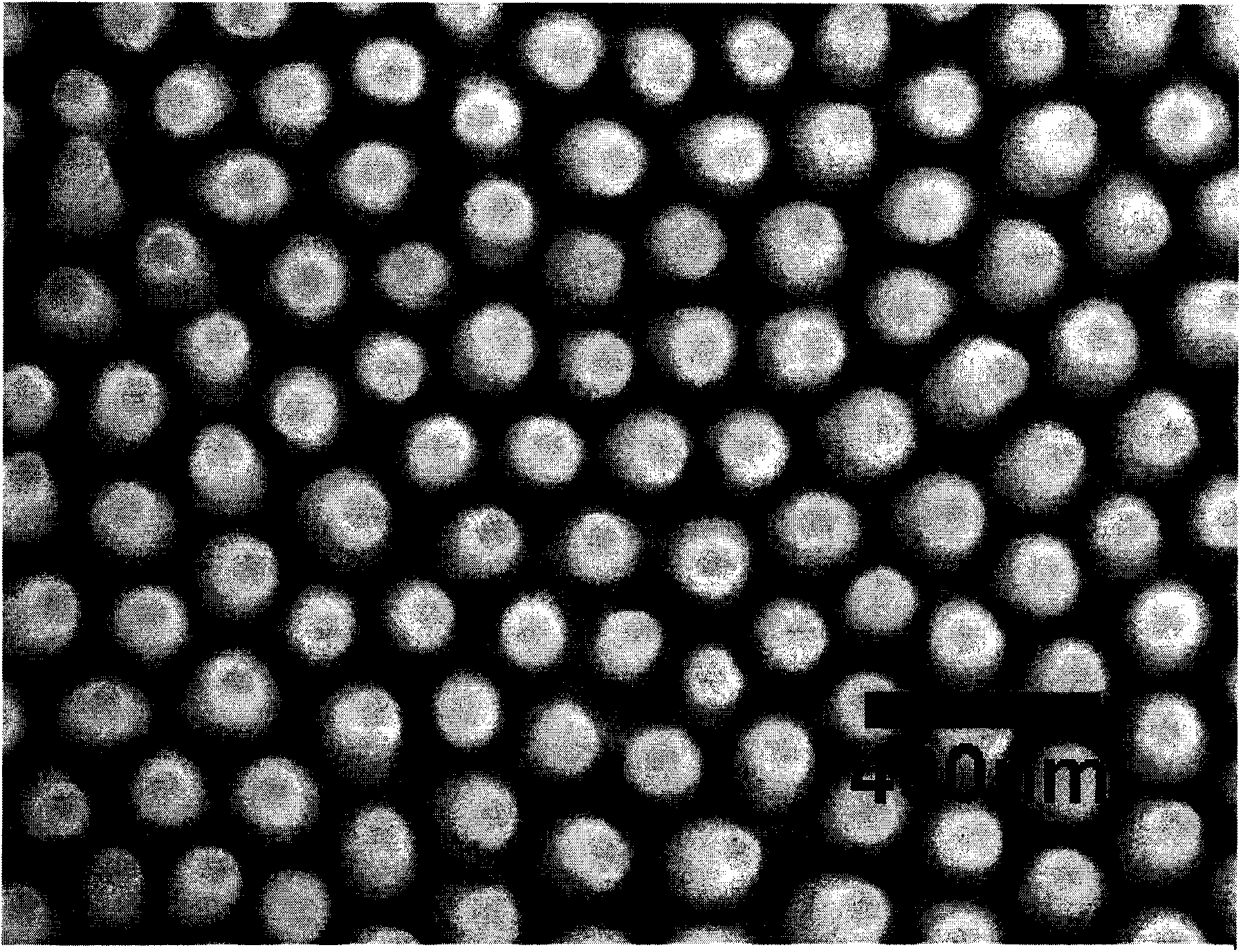 Method for manufacturing surface enhancement Raman scatting substrate