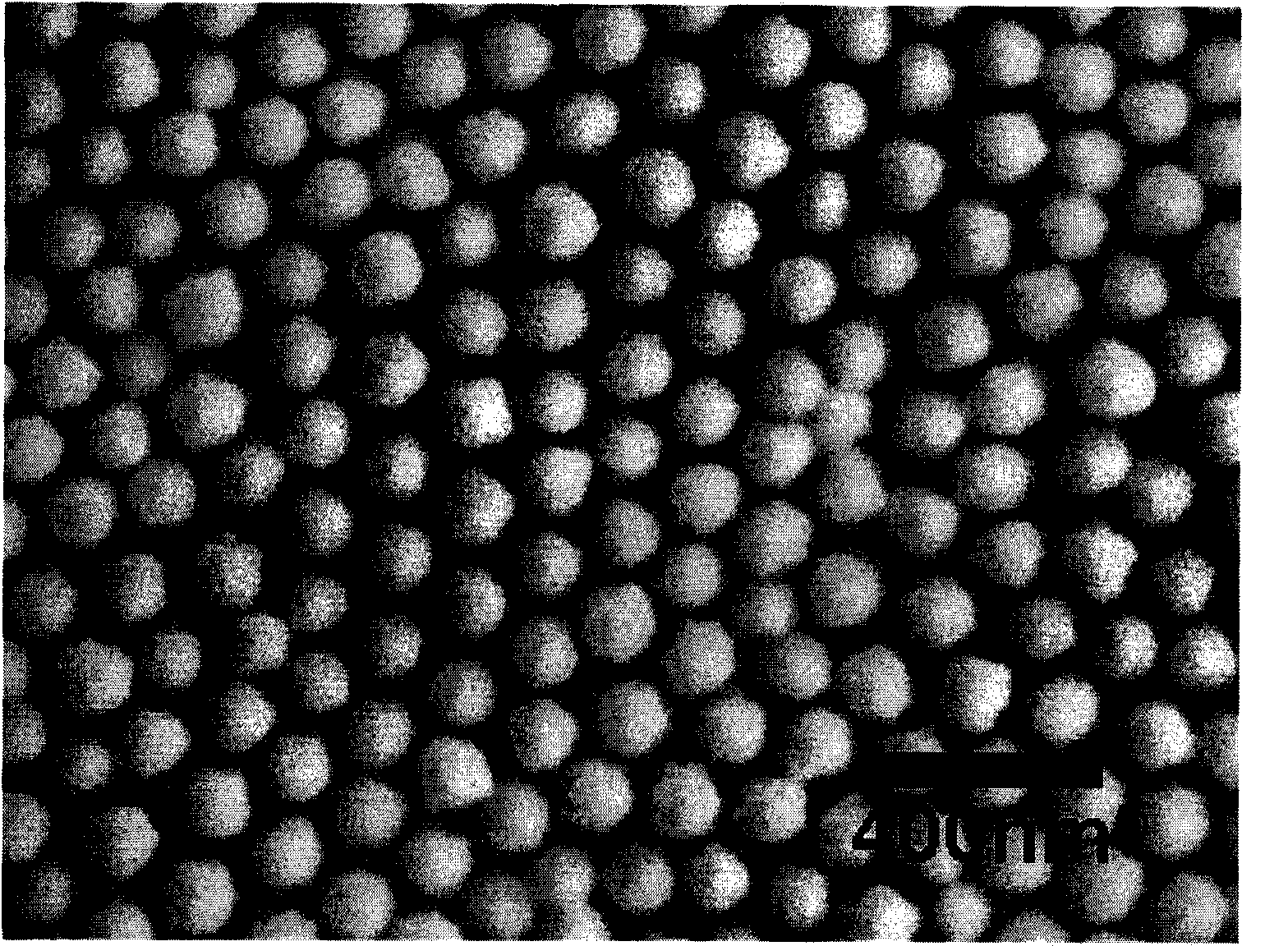 Method for manufacturing surface enhancement Raman scatting substrate