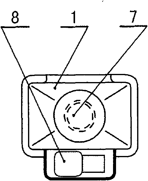 Toothpaste automatic extrusion device with toothbrush