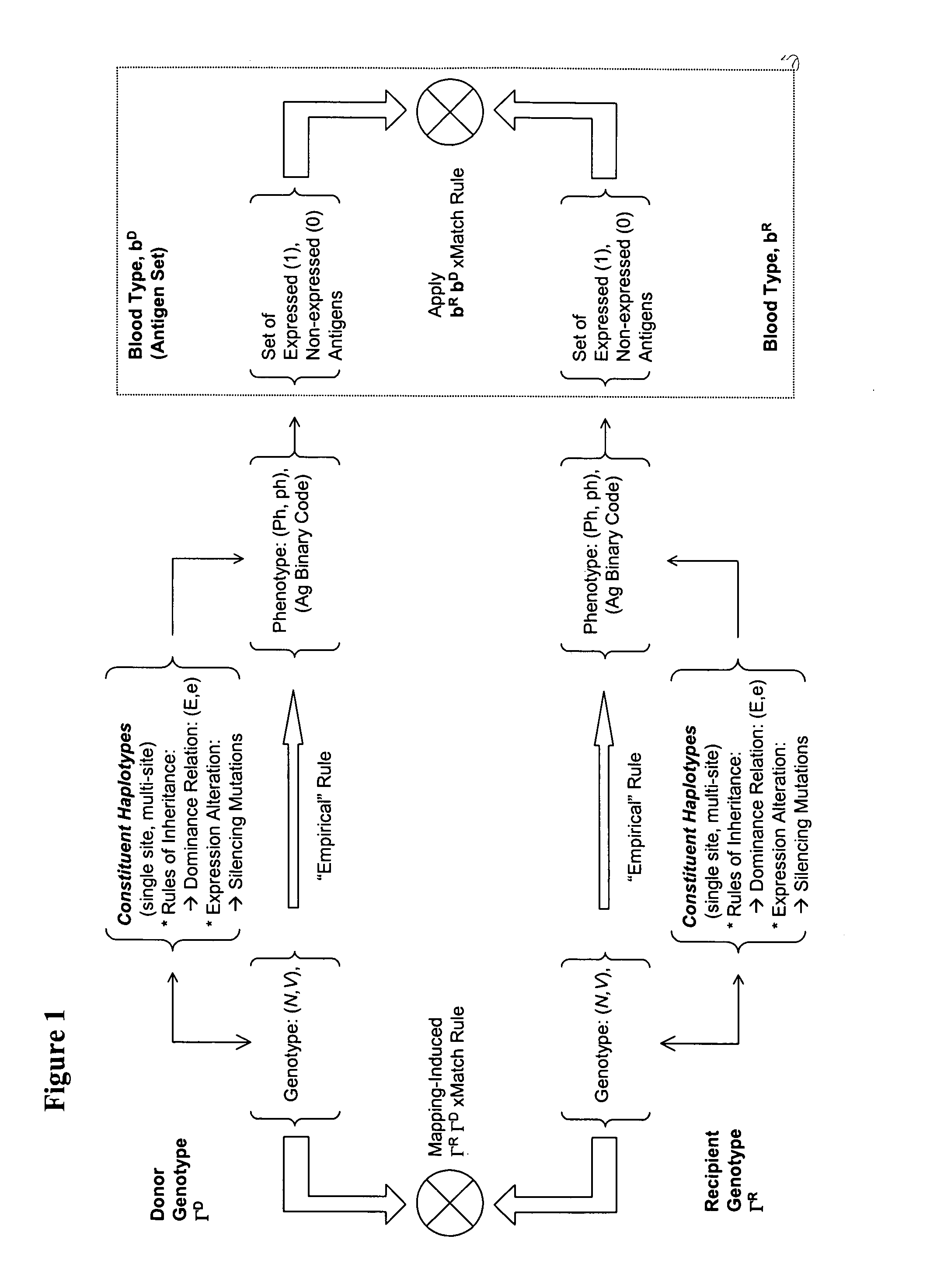 Selection of genotyped transfusion donors by cross-matching to genotyped recipients