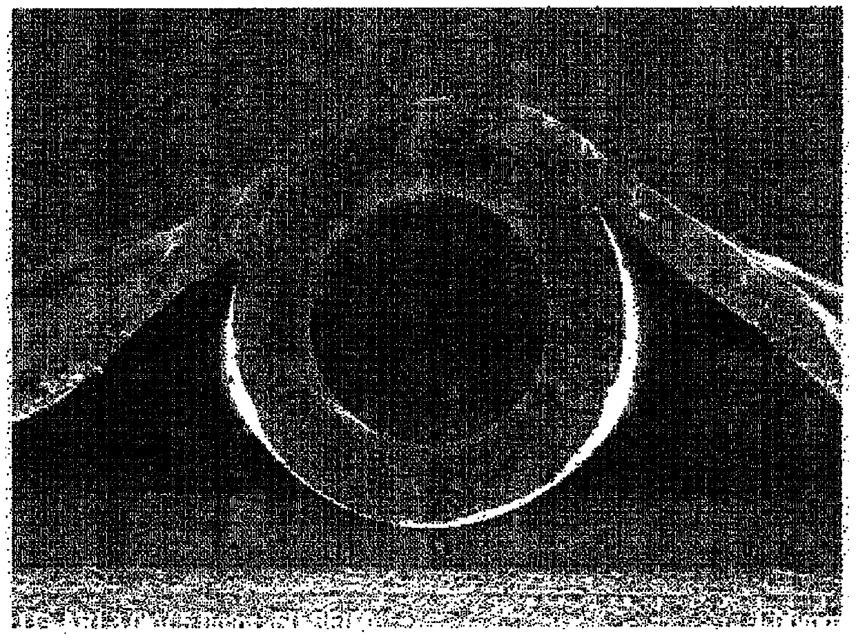 Hydrophilic polyvinylidene fluoride-based hollow-fiber separation membrane, and method for manufacturing same