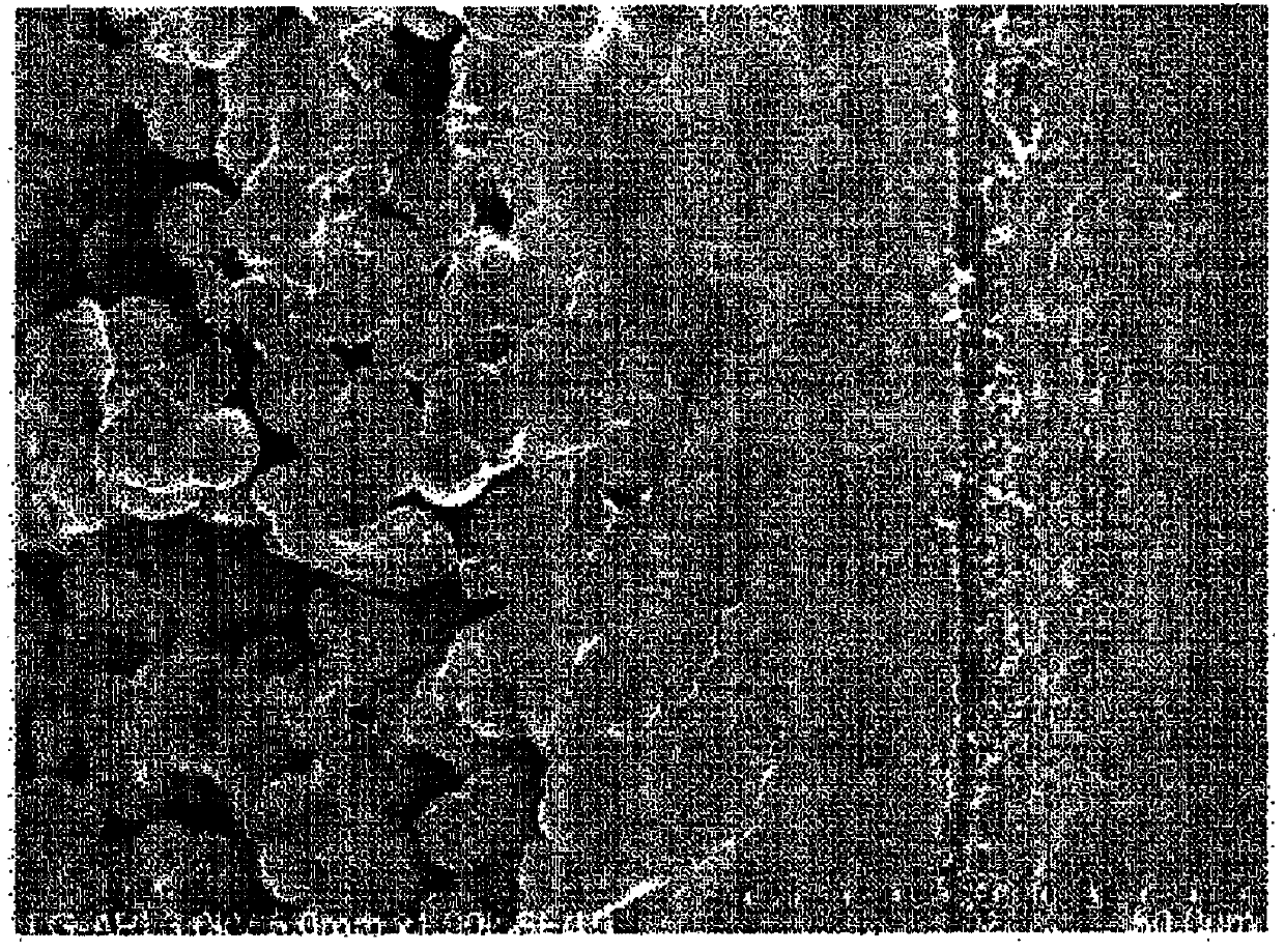 Hydrophilic polyvinylidene fluoride-based hollow-fiber separation membrane, and method for manufacturing same