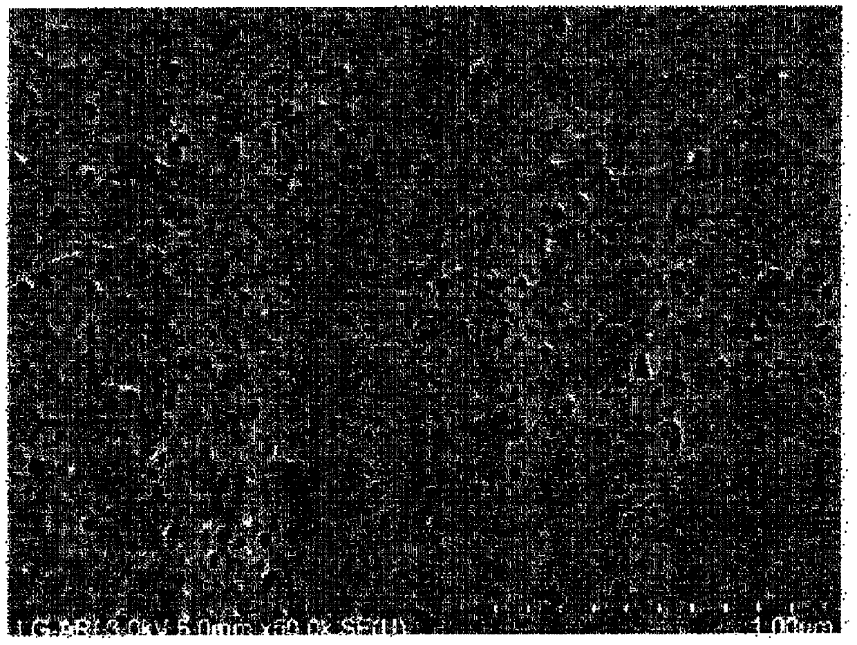 Hydrophilic polyvinylidene fluoride-based hollow-fiber separation membrane, and method for manufacturing same