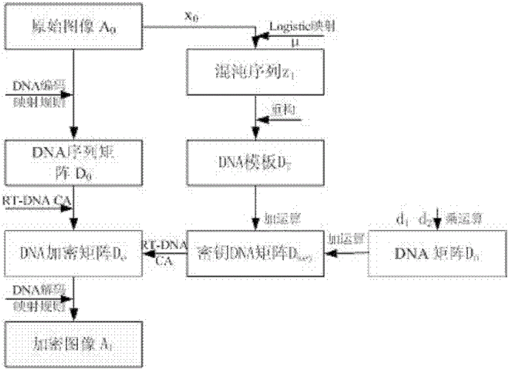 Image Encryption Method Based on rt-DNA Cellular Automata